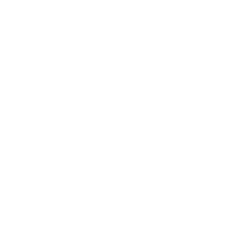 Stander Logo