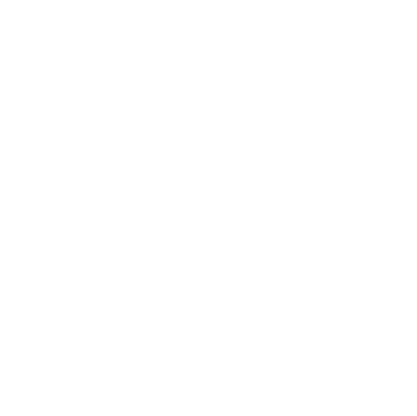 Hollaender Logo