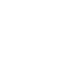 Handicare Logo