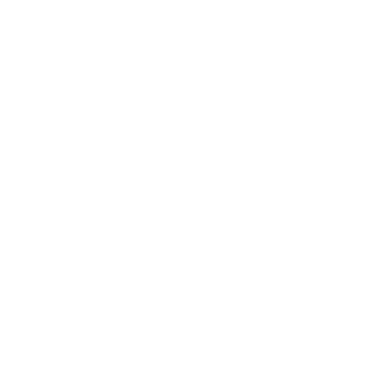 Promenaid Logo